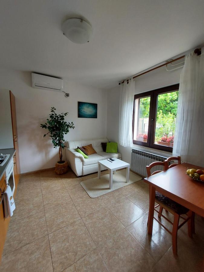 Gina Apartment Labin (Istria)