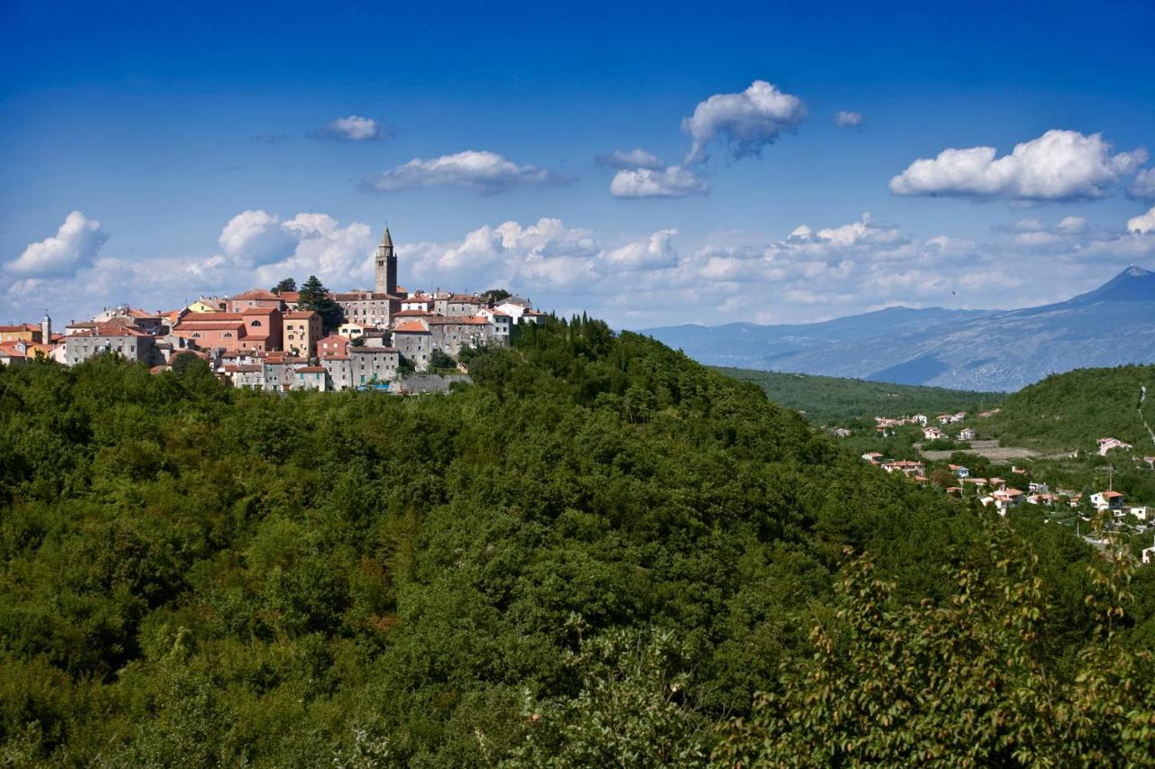 Apartment Gina Labin (Istria)